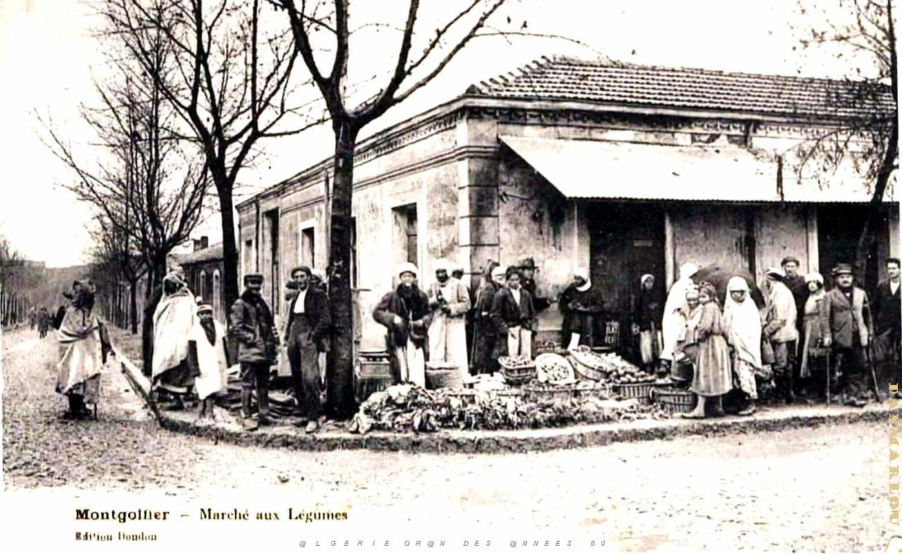Montgolfier - Marche aux Legumes.jpg